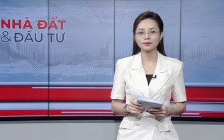 Bản tin Nhà đất và đầu tư | 01/10/2026