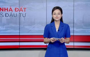 Bản tin Nhà đất và đầu tư | 02/10/2026