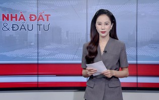 Bản tin Nhà đất và đầu tư | 04/10/2026