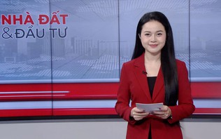 Bản tin Nhà đất và đầu tư | 06/10/2026
