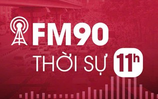 Thời sự 11h00 | 24/02/2026