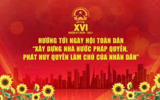 Chương trình Thời sự đặc biệt: Hướng tới ngày hội toàn dân