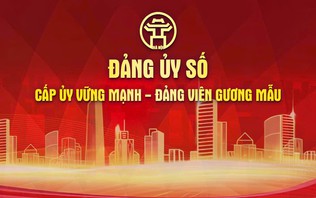 Chương trình thời sự đặc biệt: Đảng bộ số - Cấp ủy vững mạnh, đảng viên gương mẫu