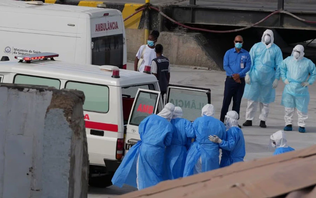 Virus Hanta và bài toán an ninh y tế toàn cầu