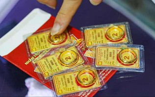 Giá vàng trong nước biến động mạnh