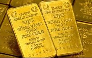 Tổng quan thị trường ngày 13/8