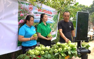 Bình Minh- từ nghị quyết đến thực tiễn  | Chính quyền đô thị | 30/09/2026