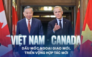 Việt Nam - Canada: Dấu mốc ngoại giao mới, triển vọng hợp tác mới