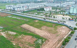 Đất đấu giá hạ nhiệt, thị trường đất nền sẽ minh bạch