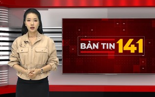 Bản tin 141 | 11/10/2026