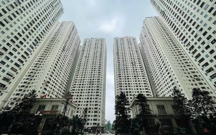 Xử lý 18.000 căn hộ sai quy hoạch của Tập đoàn Mường Thanh