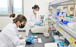 Thu hút nhân tài, tạo nền tảng phát triển đại học nghiên cứu