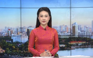 Chương trình Thời sự 23h00 | 11/10/2026