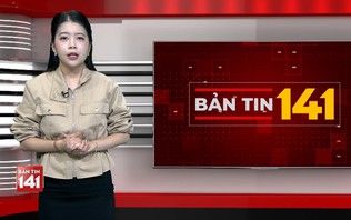 Bản tin 141 | 12/10/2026