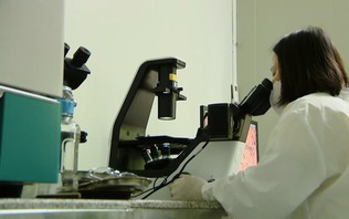 Người phụ nữ đưa khoa học về quê hương | Người tốt quanh ta | 13/10/2026
