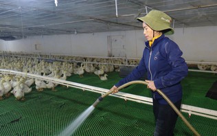 Giảm tác động môi trường trong sản xuất nông nghiệp  | Sản xuất xanh - Năng lượng sạch | 10/10/2026
