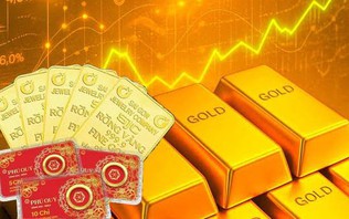 Tổng quan thị trường sáng ngày 12/10