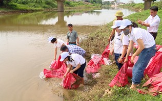 Từ tái tạo nguồn lợi thủy sản đến gìn giữ môi trường sông, hồ | Sản xuất xanh - Năng lượng sạch | 03/10/2026