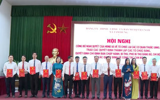 Xã Tam Hưng tổ chức lại 5 phòng chuyên môn