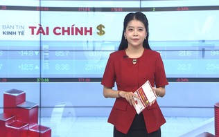 Bản tin Kinh tế Tài chính | 12/10/2026