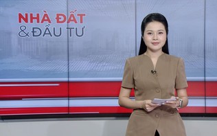 Bản tin Nhà đất và đầu tư | 12/10/2026