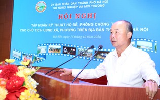 Tập huấn kỹ thuật hộ đê và phòng, chống thiên tai cấp xã