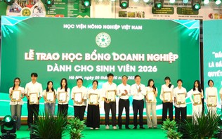 Hơn 300 sinh viên nhận học bổng doanh nghiệp
