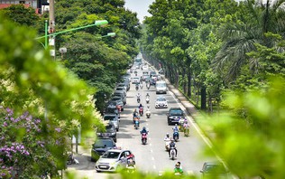 Thời tiết hôm nay (15/10): Bắc Bộ nắng, miền Trung có nơi mưa to