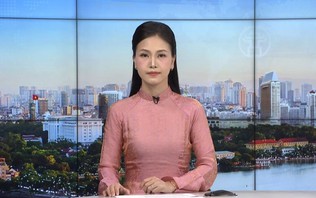 Chương trình Thời sự 15h00 | 14/10/2026