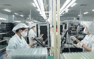 Lan tỏa thi đua “Lao động giỏi – Năng suất cao – Thu nhập tốt”