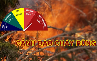 Cảnh báo cháy rừng (13/10/2026)