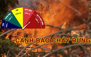 Cảnh báo cháy rừng (14/10/2026)