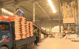 Chất xúc tác thương mại Việt Nam - EFTA