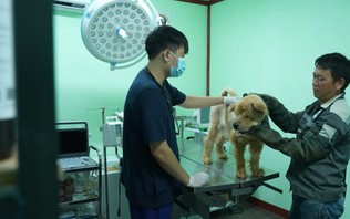 Bác sỹ thú y, từ tình yêu dành cho động vật | Người tốt quanh ta | 16/10/2026