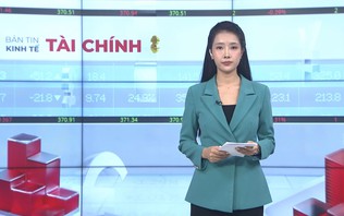 Bản tin Kinh tế Tài chính | 16/10/2026