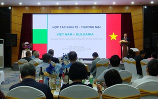Thúc đẩy hợp tác kinh tế, thương mại, du lịch Việt Nam - Bungari