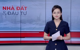 Bản tin Nhà đất và đầu tư | 17/10/2026