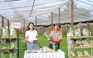 Xã Sơn Đồng đẩy mạnh quảng bá sản phẩm qua livestream