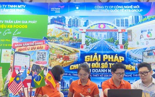Đổi mới sáng tạo trong toàn xã hội | Cải cách hành chính | 13/10/2026