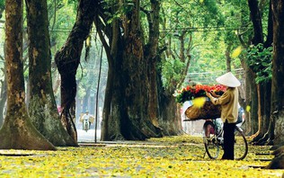 Việt Nam vào top 4 điểm đến mùa thu nổi bật thế giới