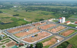 Đề xuất nâng tiền đặt trước đấu giá đất, ngăn đầu cơ bỏ cọc
