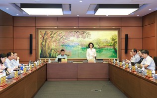 Hoàn thiện Luật Đấu giá tài sản, bảo đảm cạnh tranh lành mạnh 