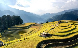 Việt Nam đứng thứ 4 trong xu hướng du lịch mùa thu 2026