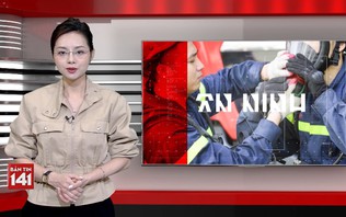 Bản tin 141 | 20/10/2026