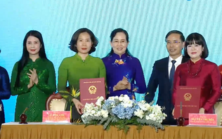 Tăng cường phối hợp, hỗ trợ phụ nữ phát triển kinh tế