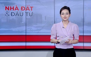 Bản tin Nhà đất và đầu tư | 20/10/2026