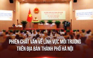 Phiên chất vấn về lĩnh vực môi trường trên địa bàn Thành phố Hà Nội
