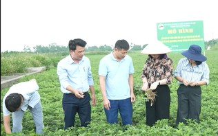Vai trò Chính quyền cơ sở trong phát triển KT nông nghiệp tại Hoà Xá | Chính quyền cơ sở | 21/10/2026