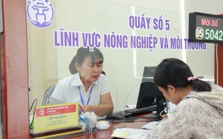Nâng cao chất lượng phục vụ tại trụ sở  | Cải cách hành chính | 20/10/2026