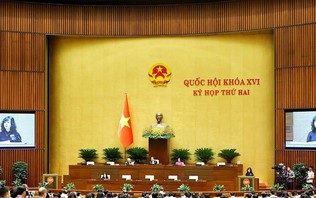 Quốc hội thảo luận về 7 dự án luật thuộc lĩnh vực y tế, lao động